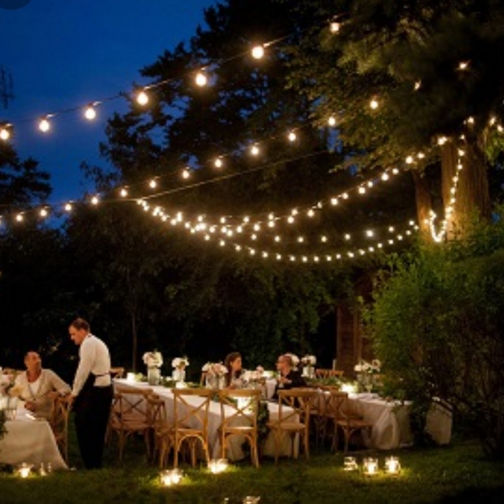 8'2" String Lights Decor - Picture 7 of 9